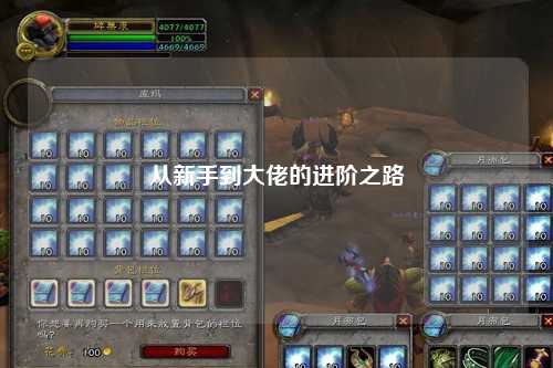 从新手到大佬的进阶之路
