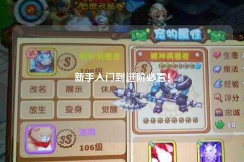 新手入门到进阶必看！