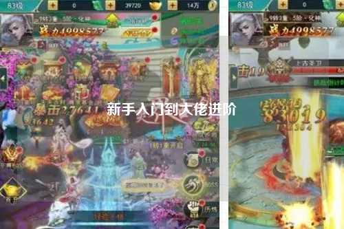 新手入门到大佬进阶