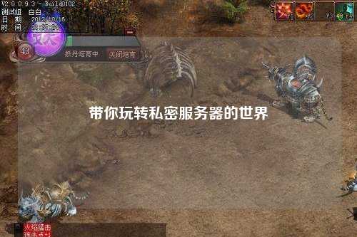 带你玩转私密服务器的世界