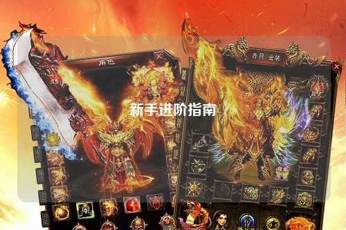 新手进阶指南