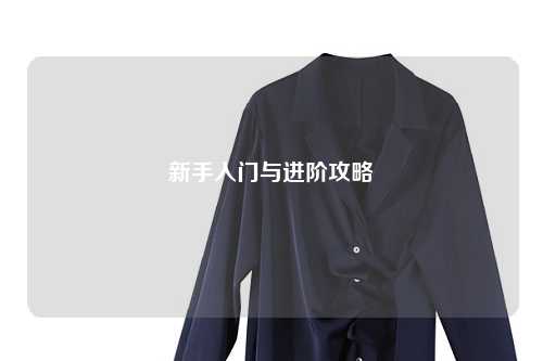 新手入门与进阶攻略