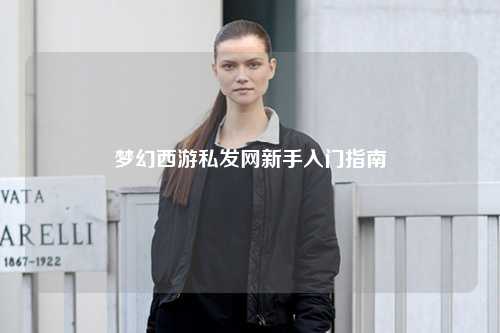 梦幻西游私发网新手入门指南