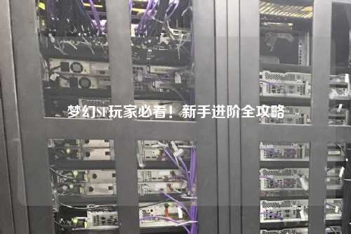 梦幻SF玩家必看！新手进阶全攻略