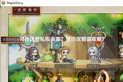 寻找优质私服资源？这份攻略请收藏！