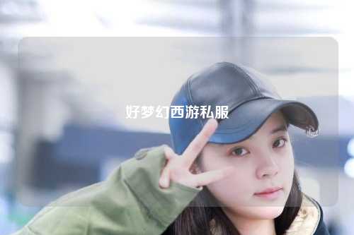 好梦幻西游私服