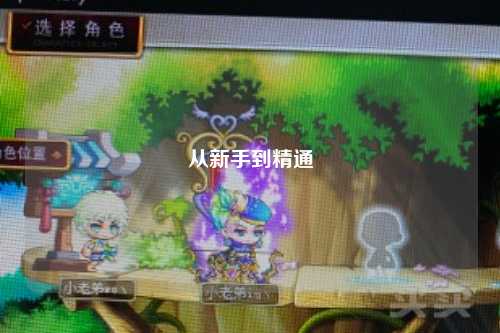 从新手到精通