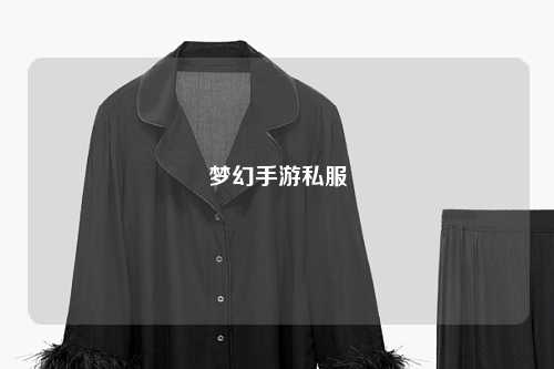 梦幻手游私服