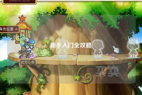 新手入门全攻略