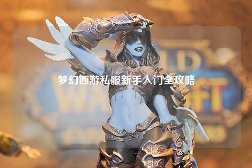 梦幻西游私服新手入门全攻略