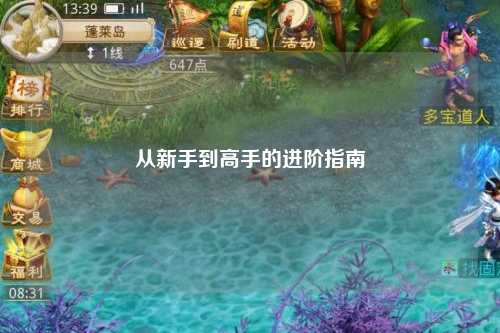 从新手到高手的进阶指南