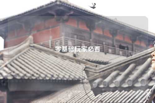 零基础玩家必看