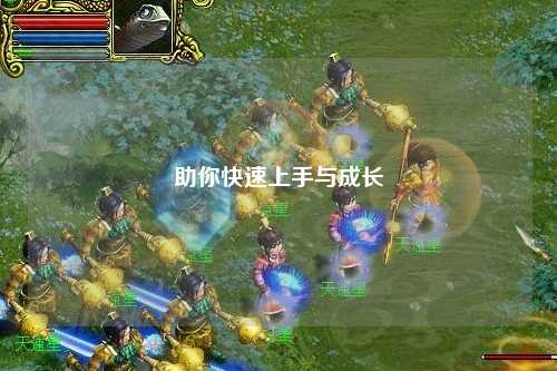 助你快速上手与成长