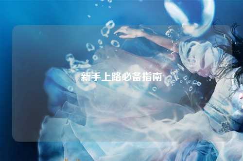 新手上路必备指南
