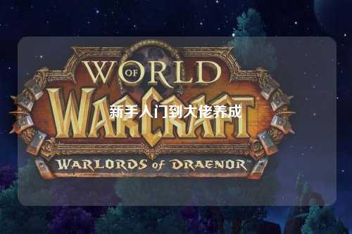 新手入门到大佬养成