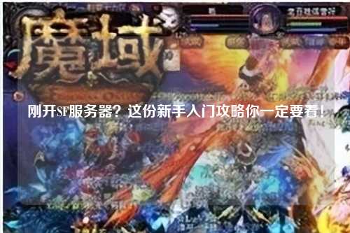 刚开SF服务器？这份新手入门攻略你一定要看！