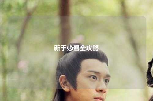 新手必看全攻略