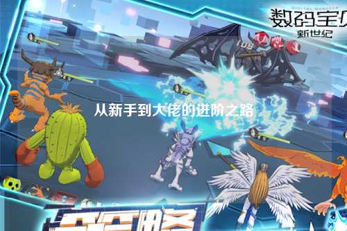 从新手到大佬的进阶之路