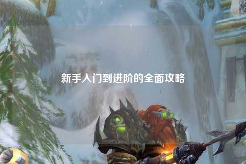 新手入门到进阶的全面攻略