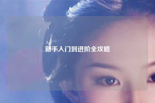 新手入门到进阶全攻略