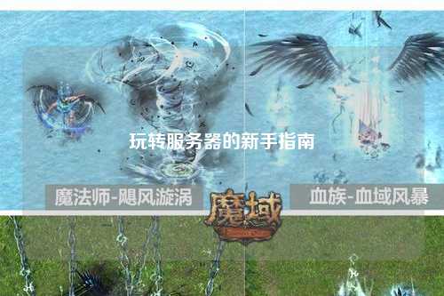 玩转服务器的新手指南