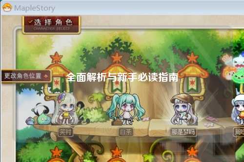 全面解析与新手必读指南