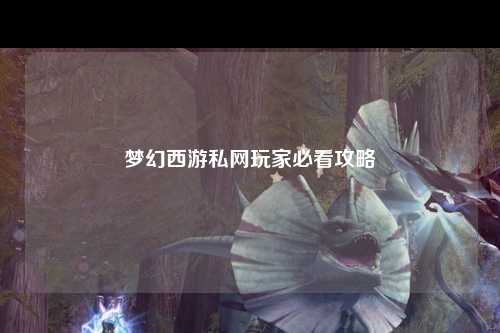梦幻西游私网玩家必看攻略
