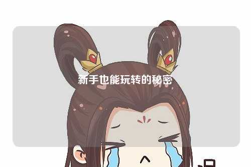 新手也能玩转的秘密