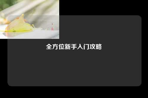 全方位新手入门攻略
