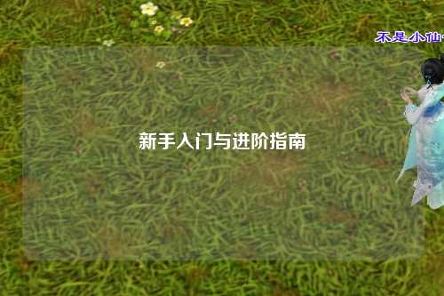 新手入门与进阶指南