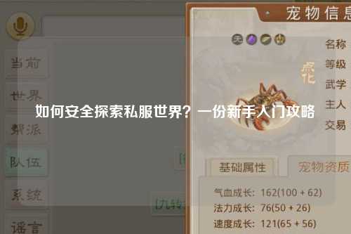 如何安全探索私服世界？一份新手入门攻略