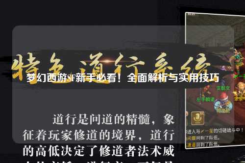 梦幻西游SF新手必看！全面解析与实用技巧