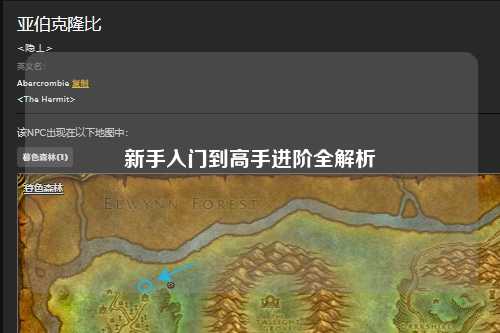新手入门到高手进阶全解析