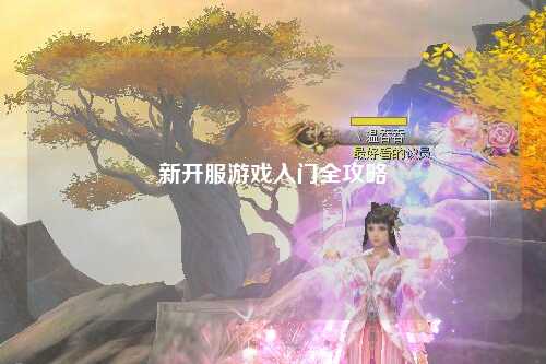 新开服游戏入门全攻略
