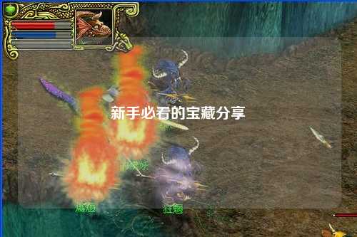 新手必看的宝藏分享