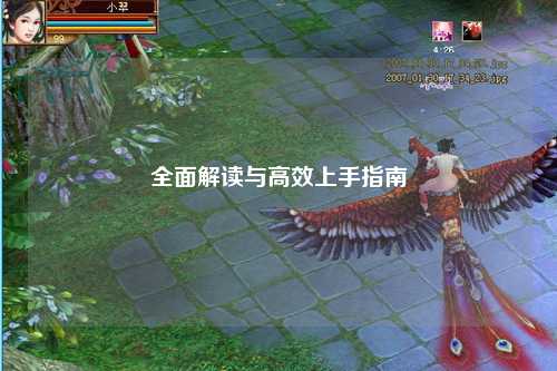 全面解读与高效上手指南