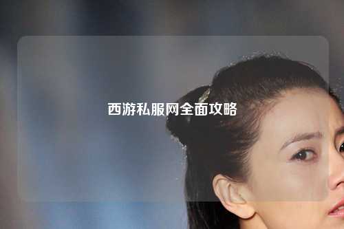 西游私服网全面攻略