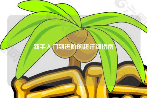 新手入门到进阶的超详细指南