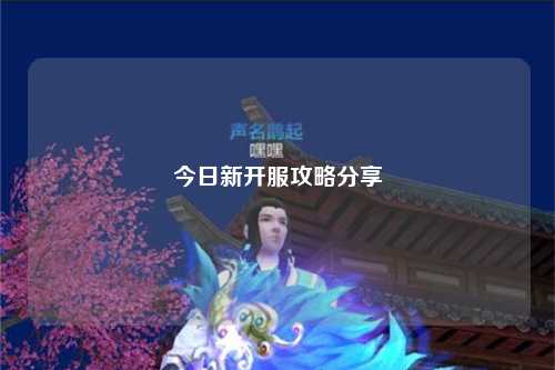 今日新开服攻略分享
