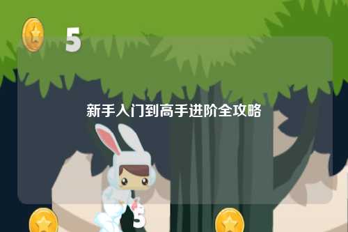 新手入门到高手进阶全攻略