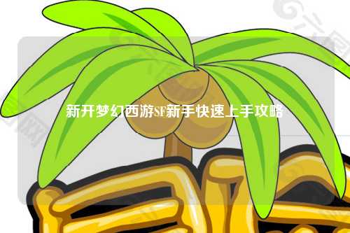 新开梦幻西游SF新手快速上手攻略
