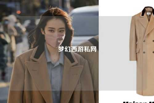 梦幻西游私网