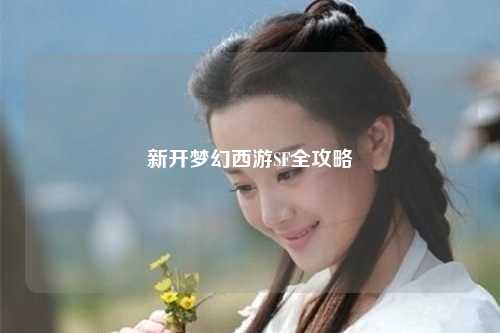 新开梦幻西游SF全攻略