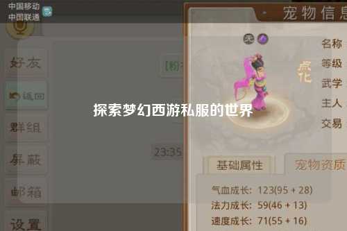 探索梦幻西游私服的世界
