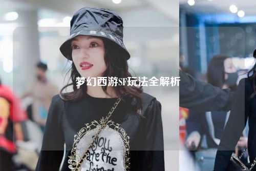 梦幻西游SF玩法全解析
