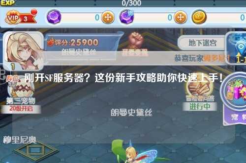 刚开SF服务器？这份新手攻略助你快速上手！