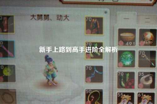 新手上路到高手进阶全解析