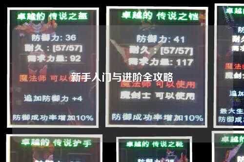 新手入门与进阶全攻略