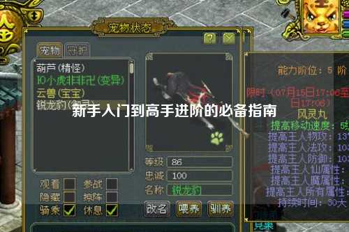新手入门到高手进阶的必备指南