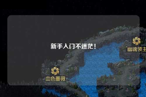 新手入门不迷茫！